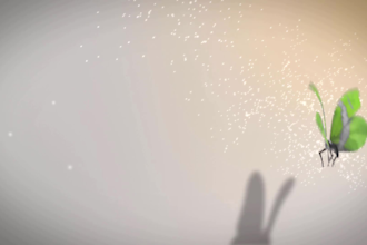 create butterfly logo  intro animation in HD