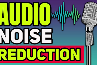 provide noise reduction and crystal clear sound editing services