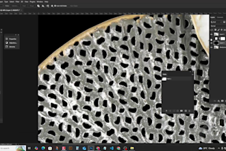do fast background removal  ,cut out and  transparent png