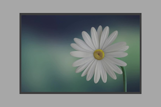 remove the background to your amazon products