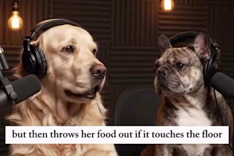 create ai talking animal, ai animal video and ai funny animal