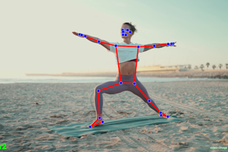 do pose detection or classification for your project