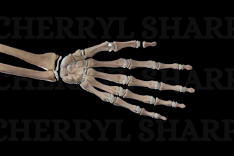 do 3d medical animation video, 3d animated explainer, 3d model, 3d medical video