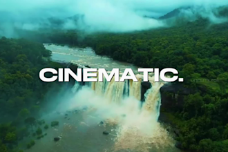do professional cinematic video editing