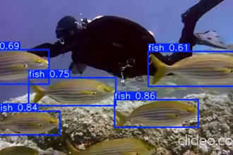 build a custom object detection model using yolo or faster r CNN