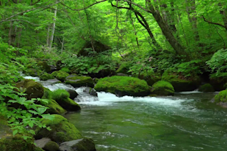 create rain video, real natural sound relaxing rain video