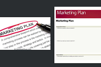 craft your digital marketing strategy and  marketing plan