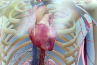 create 3d medical animation video, 3d medical animation