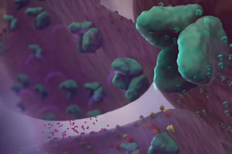 do 3d medical animation glutamate modulation moa animation scientific biotech