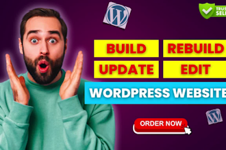 build, rebuild, edit or update wordpress website