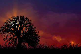 do a love spell casting for you to get ex back for a lasting relationship