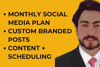 be a committed social media manager daily posts and strategy