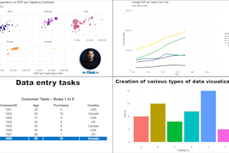 do data entry or visualisation, excel tasks, copy paste and chart creation