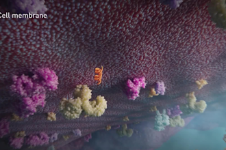 do 3d medical animation dna immune defense biotech, pharma, 3d explainer video