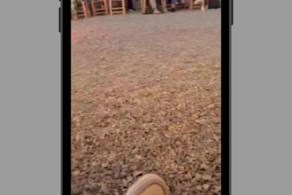 create dutch viral and converting ugc videos for tiktok and instagram
