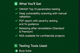 perform professional network penetration testing to uncover vulnerabilities