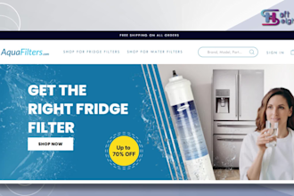 build shopify store with customization and speed optimization