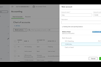 be virtual accountant for small business