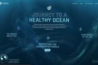 do 3d animated wix website design animated website 3d spline 3d animation lottie