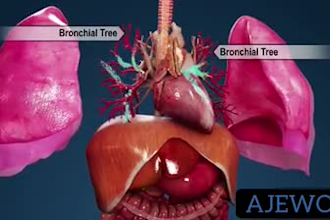 do 3d medical animation, 3d medical video, anatomy animation, surgery animation