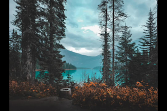 create cinematic edits for your favorite pictures