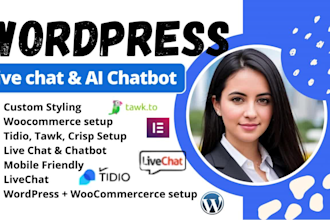 setup tawk, tidio, crisp, livechat or ai chatbot for wordpress website