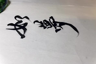 write calligraphy in traditional chinese for any purpose
