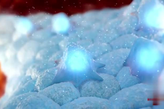 do and create a high level 3d medical animation video
