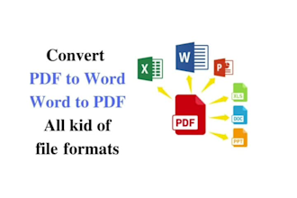 do copypaste work and convert pdf to excel pdf to word