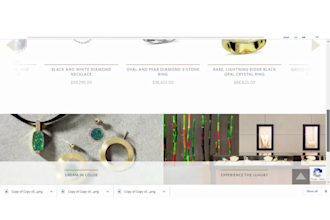 design jewelry shopify website store