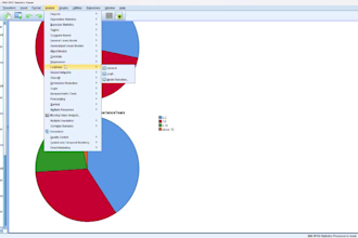 do research data analysis, statistical analysis and report writing using spss