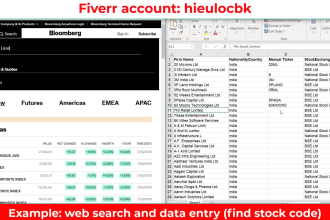 do any data entry excel, web search within 12 hours