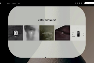 design and develop a custom wix or wordpress landing page or website