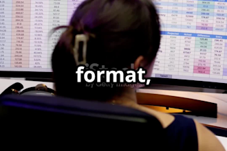 analyze, clean, format, merge, split excel data