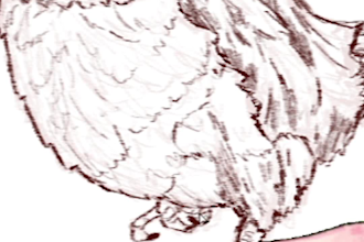 drawing work with excellent quality based on the client