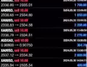 setup trading bot, forex trading bot, forex ea, forex bot, trading bot