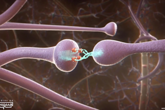 create 3d medical animation for medical equipment or procedure