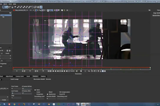 add vfx to video,do cleanup, object removal,composting,colour grading, rendering