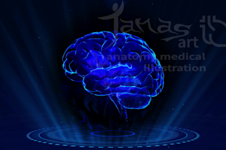 an illustration or video of human and animal anatomy