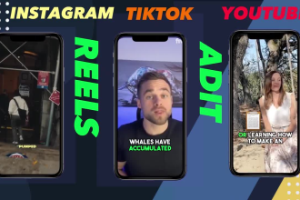 edit youtube shorts, tiktok, and instagram reels with subtitles