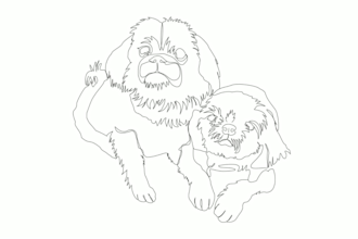 draw a line art of your pet