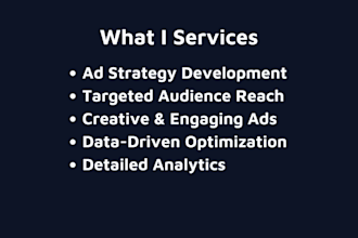 establish your business with effective facebook  and instagram ads campaigns