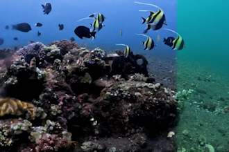 color correct and enhance underwater video and photo