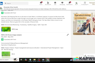 consult on gis, remote sensing, and spatial data strategy