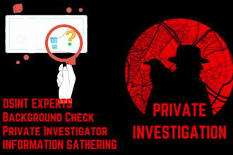 be your private investigator, osint, detective, forensics, background check