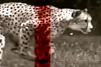 create conceptual chaotic dystopian music video for ebm metal post punk