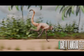 create 3d models, 3d characters and 3d motion graphics