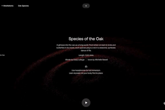 design 3d animated website using webflow lottie, threejs, spline, gsap and webgl