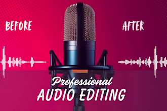 adjust your audio and remove unwanted background noise