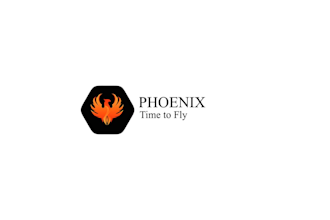 create 2d custom and unique logo animation